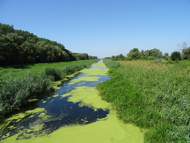 Andau, Einser-Kanal