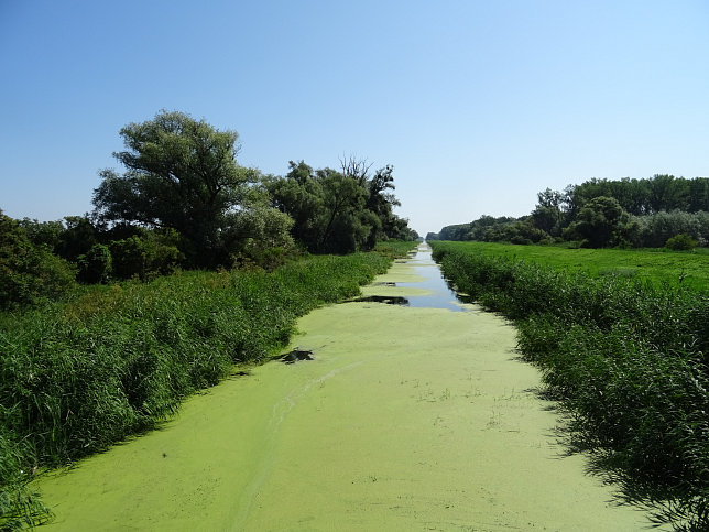 Andau, Einser-Kanal