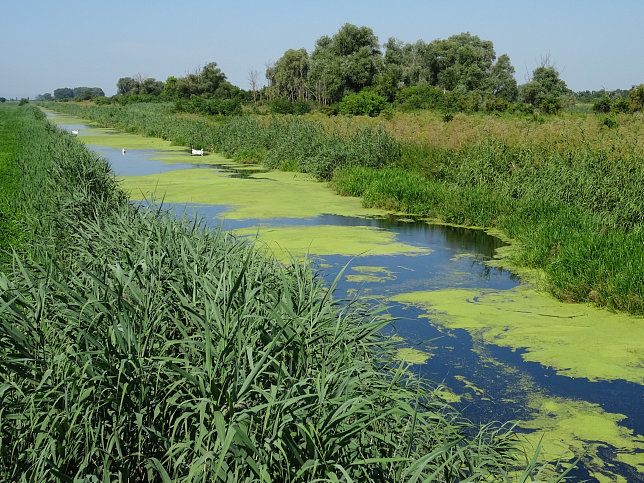 Andau, Einser-Kanal