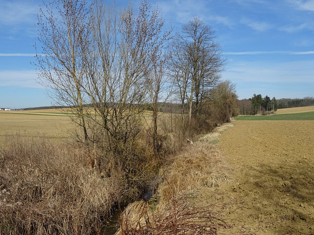 Gttenbach