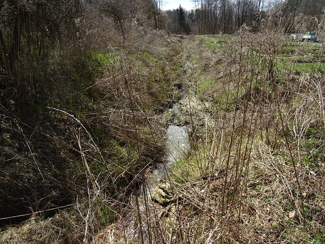 Marbach, Einer der 3 Quellbche