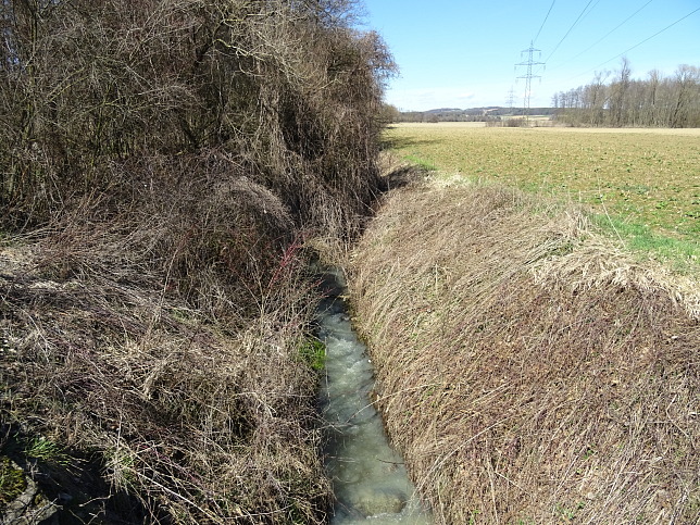 Marbach bei Eltendorf, Einmndung Lafnitz