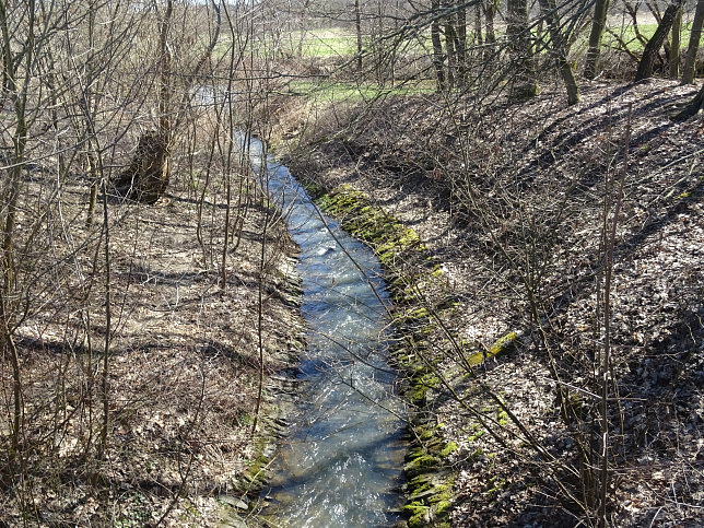 Hoppachbach