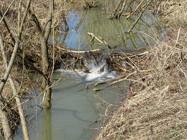 Hoppachbach