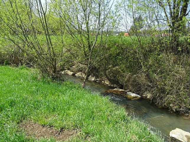 Gaas, Rodlingbach