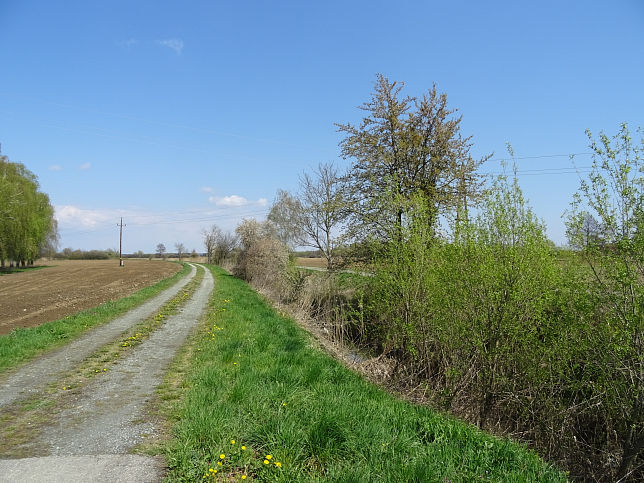Gaas, Rodlingbach