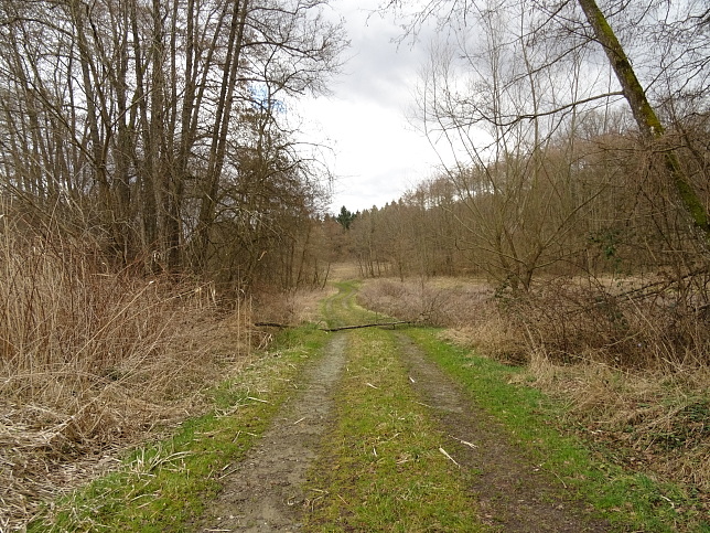 Graben vom Petzischberg