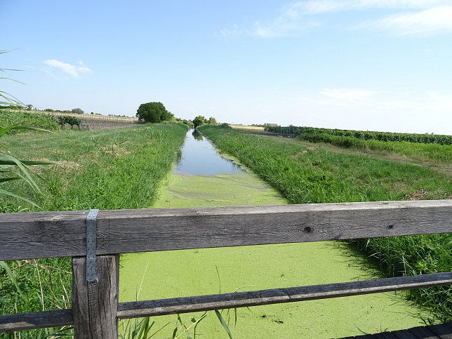 Golser Kanal