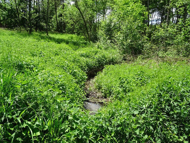Stettnergraben