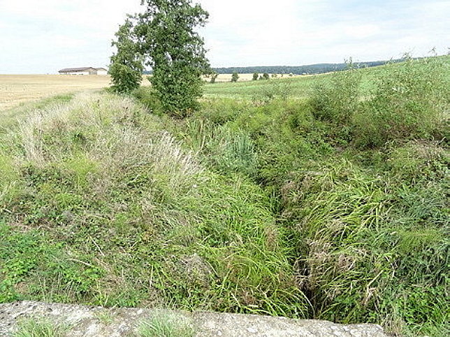 Rinngrabenbach