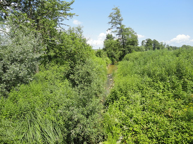 Gttenbach