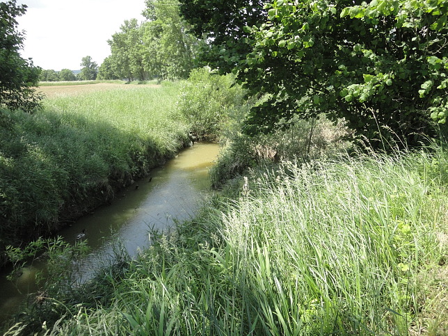 Sulz, Zusammenfluss von Zickenbach und Sulzbach