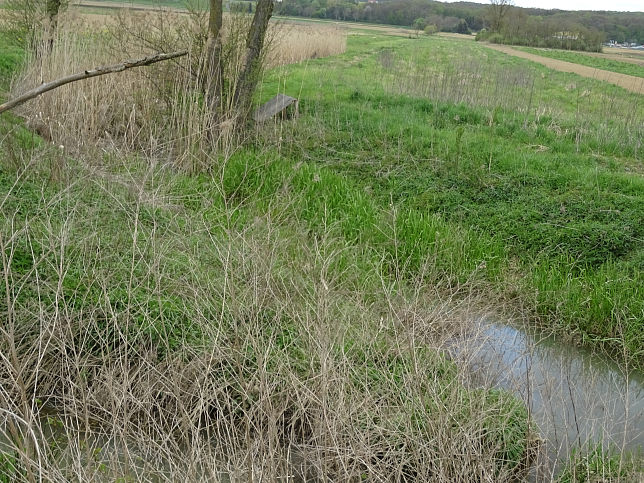 Bach von Heiligenkreuz