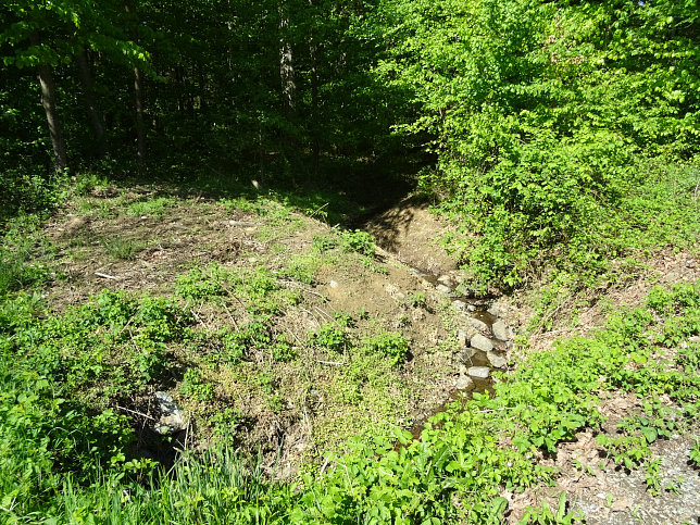 Bach von Heiligenkreuz