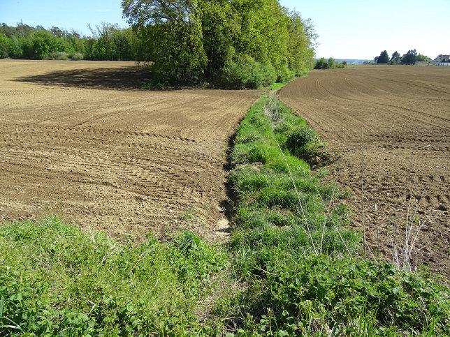Bach von Heiligenkreuz