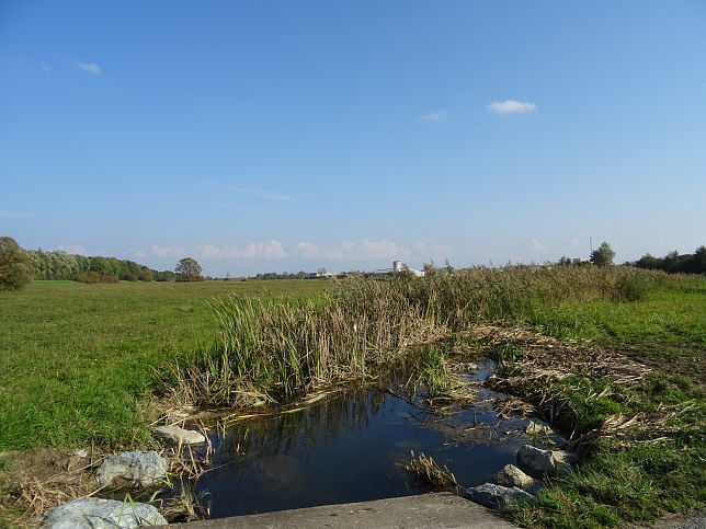 Heiligenkreuz, Flutmulde