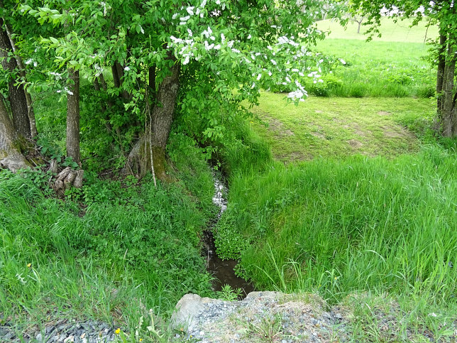 Schmalzgraben