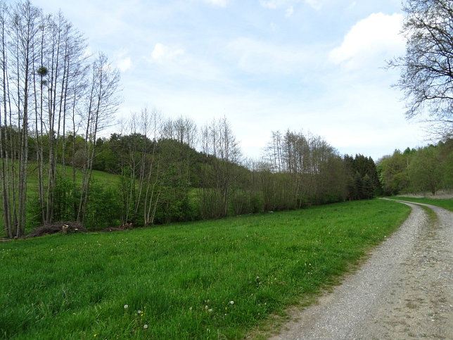 Schmalzgraben