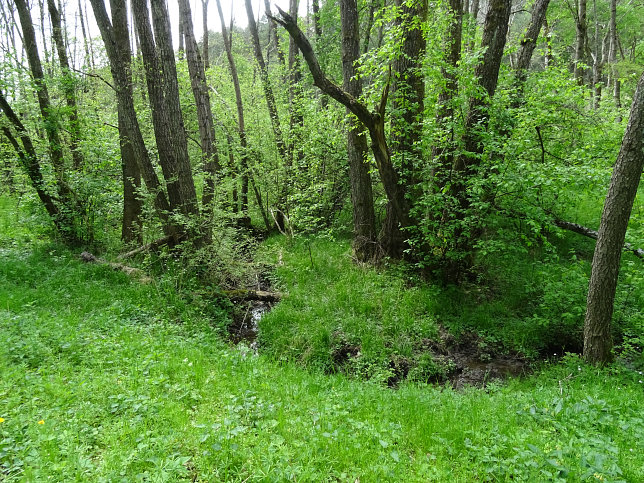 Schmalzgraben