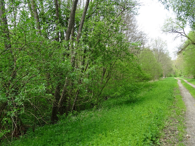Schmalzgraben