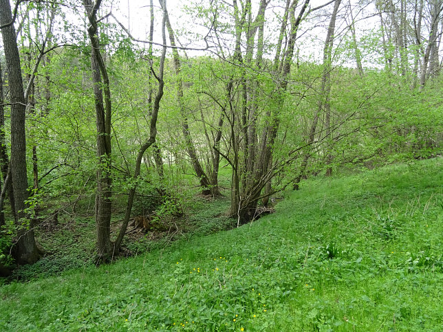 Schmalzgraben