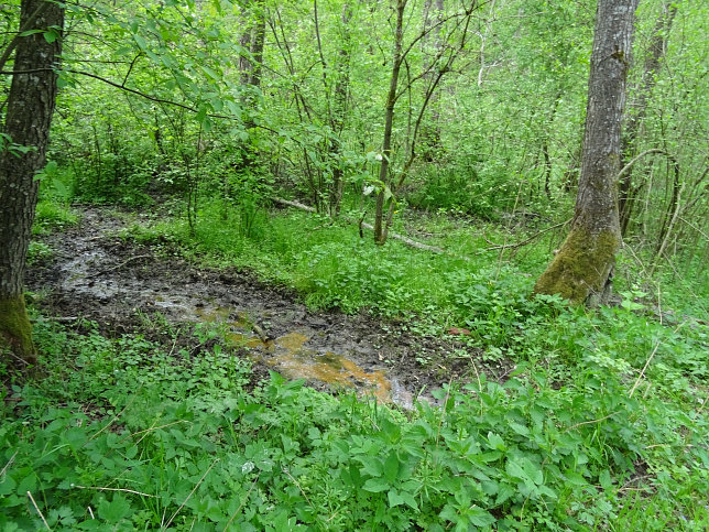 Schmalzgraben