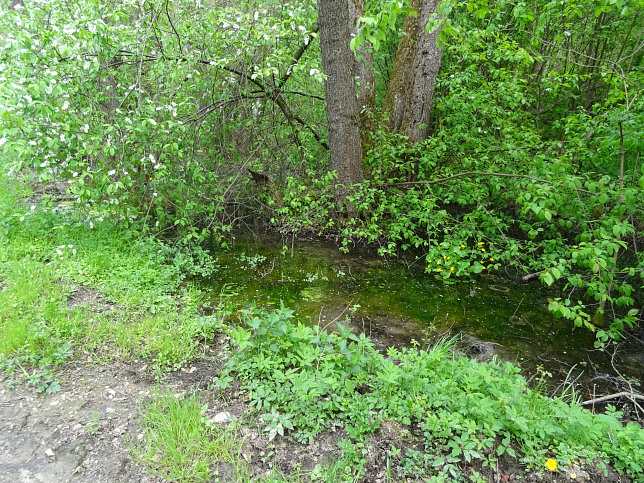 Schmalzgraben