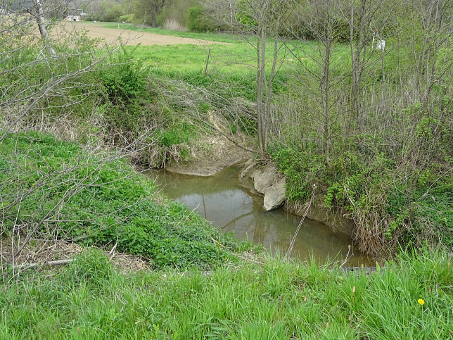 Unterer Auwiesengraben