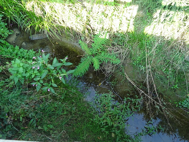 Heutalbach im Ortsteil Heutal