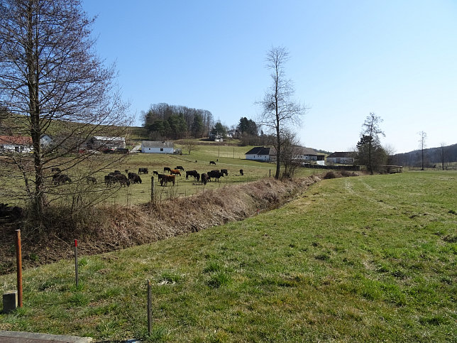 Inzenhof, Hausergraben