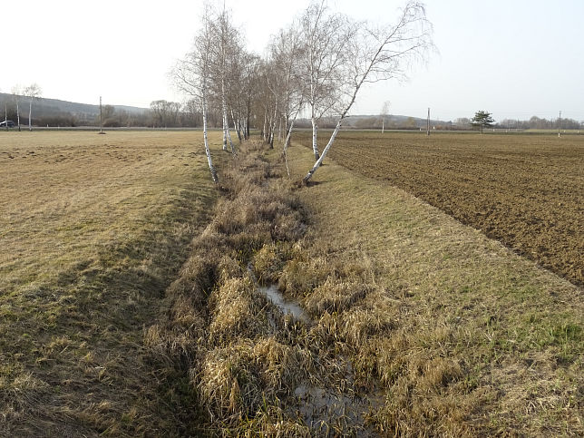 Greutwiesenbach