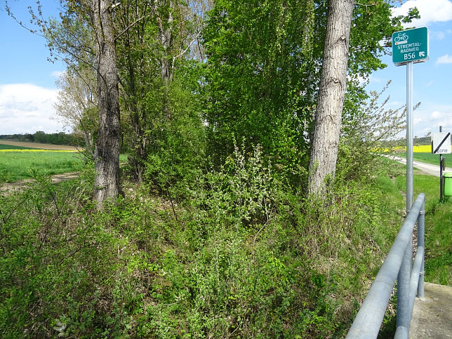 Limbach (Litzelsdorf)
