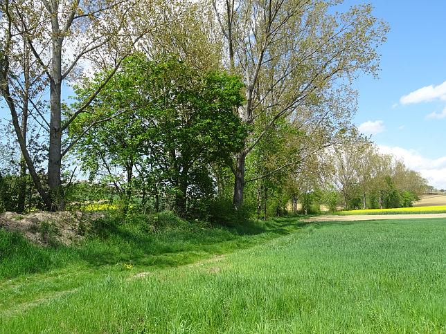 Limbach (Litzelsdorf)