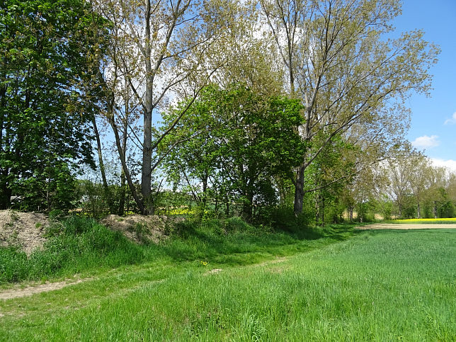 Limbach (Litzelsdorf)