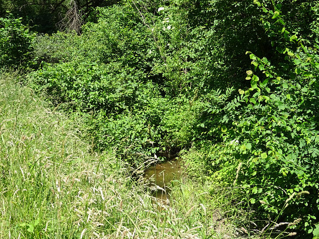 Reitschulbach