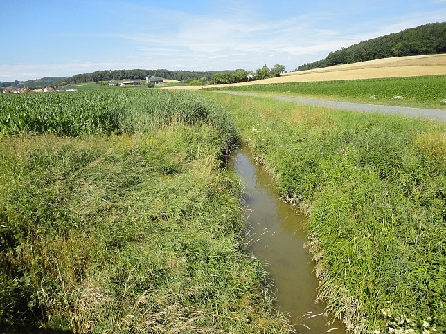 Rettenbach in Neusiedl bei Gssing