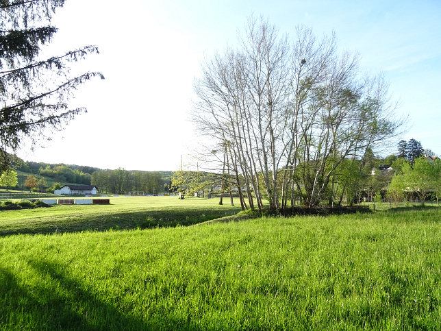 Neustift bei Gssing, Bach von Weberberg