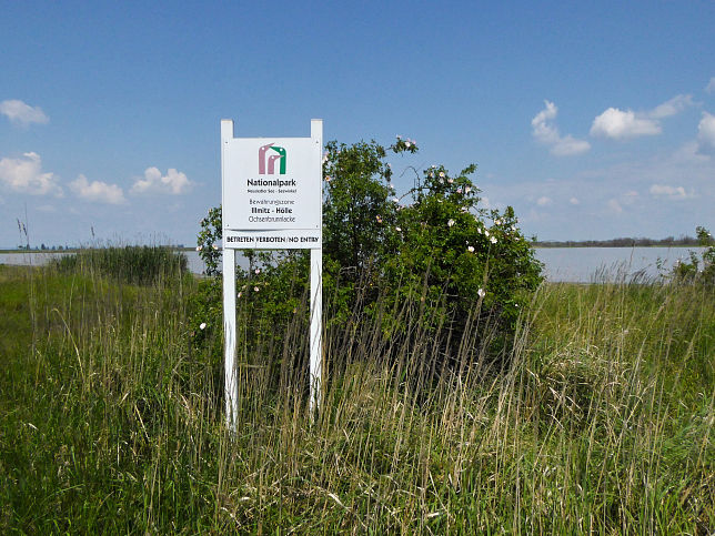 Ochsenbrunnlacke