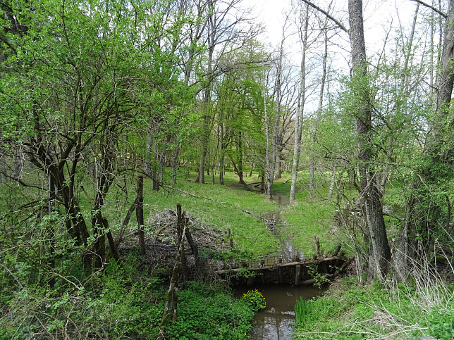 Haselgraben