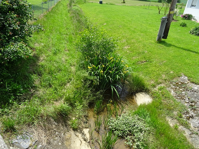 Rehgrabenbach