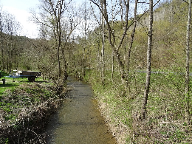 Tauchenbach