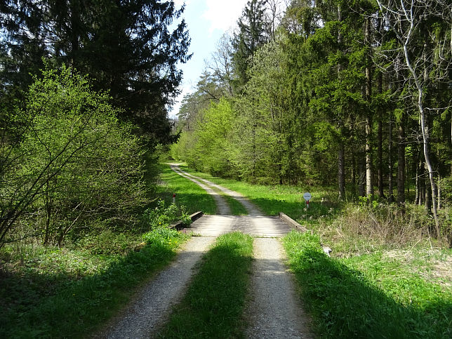 Limpigraben