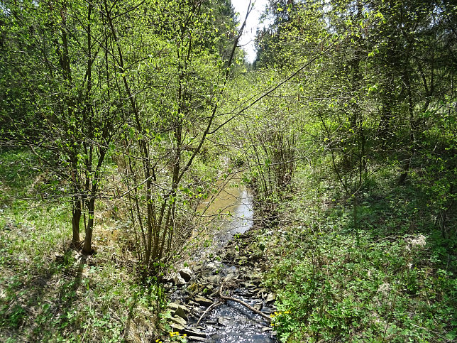 Limpigraben