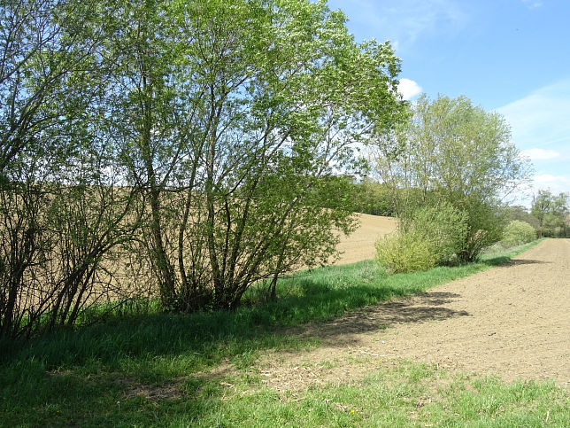 Sulzbach