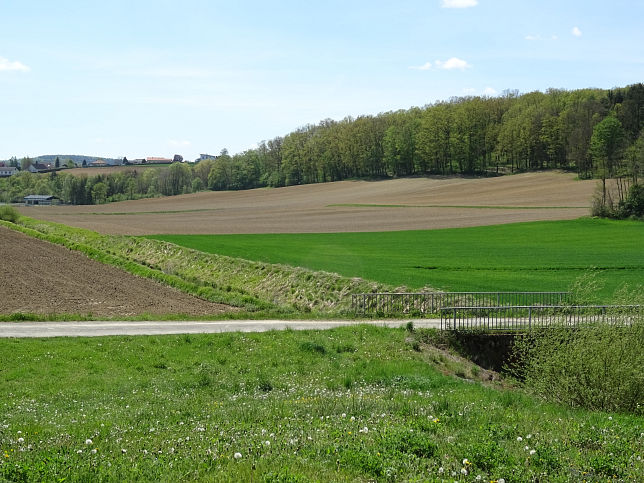 Sulzbach