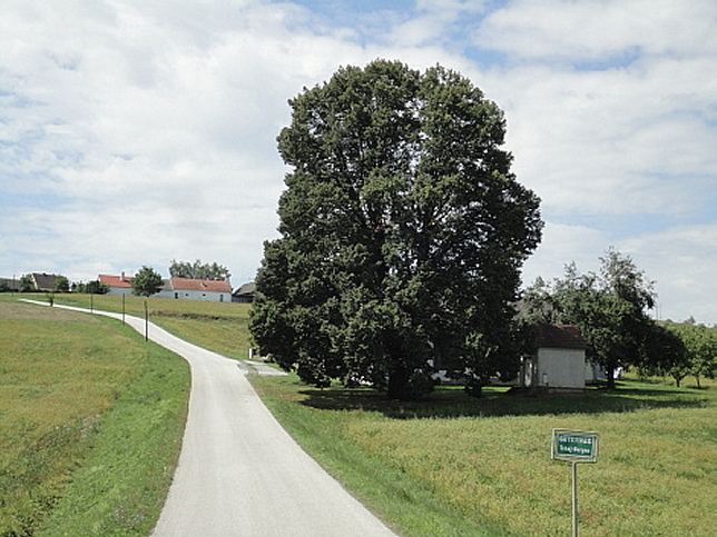 Rinngrabenbach