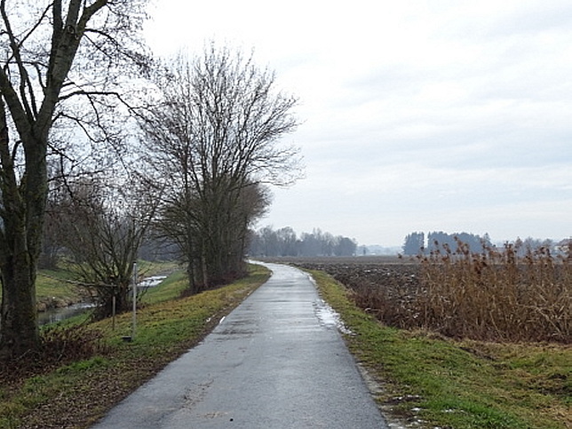 Rinngrabenbach