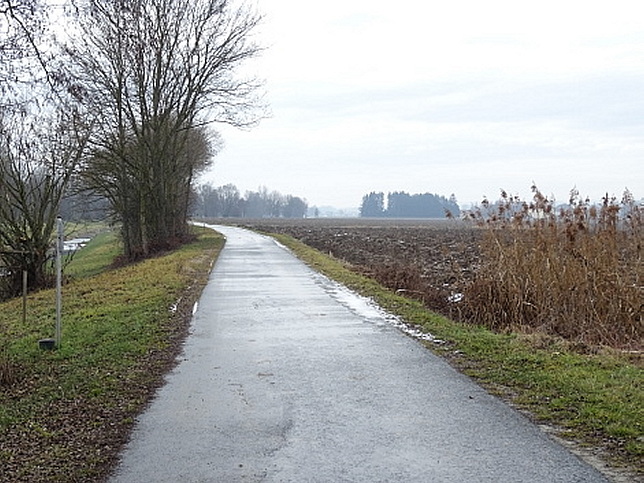 Rinngrabenbach