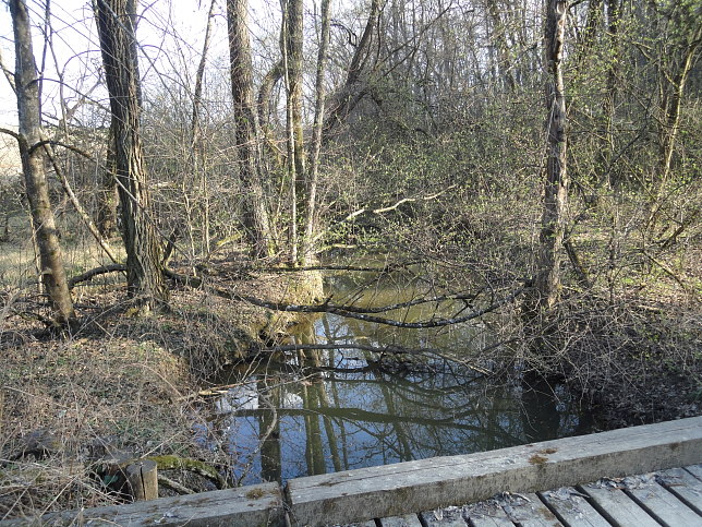Limbach (Urbersdorf)