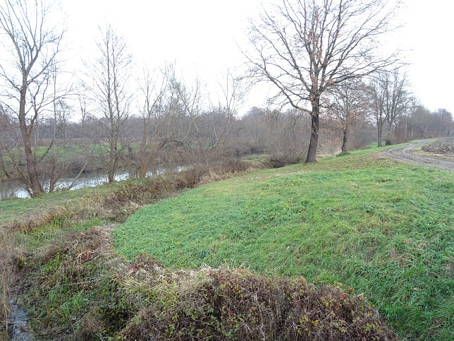 Alte Rittschein